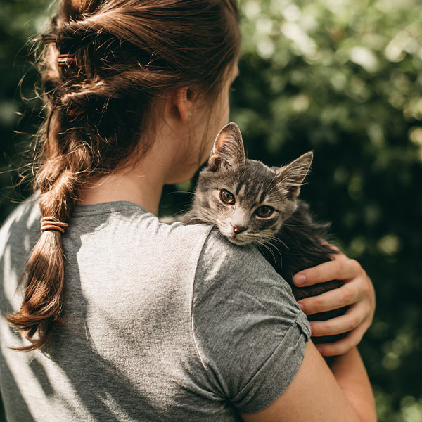 Tobacco Valley Animal Shelter - Adopt a cat or dog Eureka Montana & Libby Montana